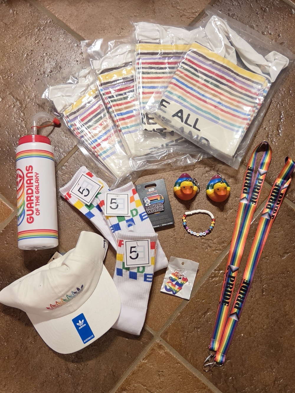 PRIDE Bundle: Disney Guardians, Adidas, Star Wars, Ducks, Socks, Totes, Earrings